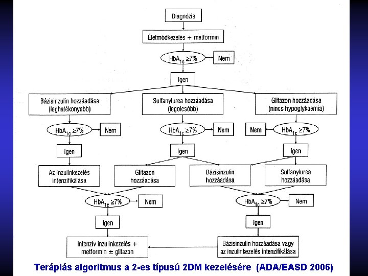 Terápiás algoritmus a 2 -es típusú 2 DM kezelésére (ADA/EASD 2006) 