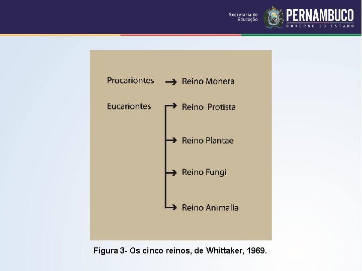 Figura 3 - Os cinco reinos, de Whittaker, 1969. 