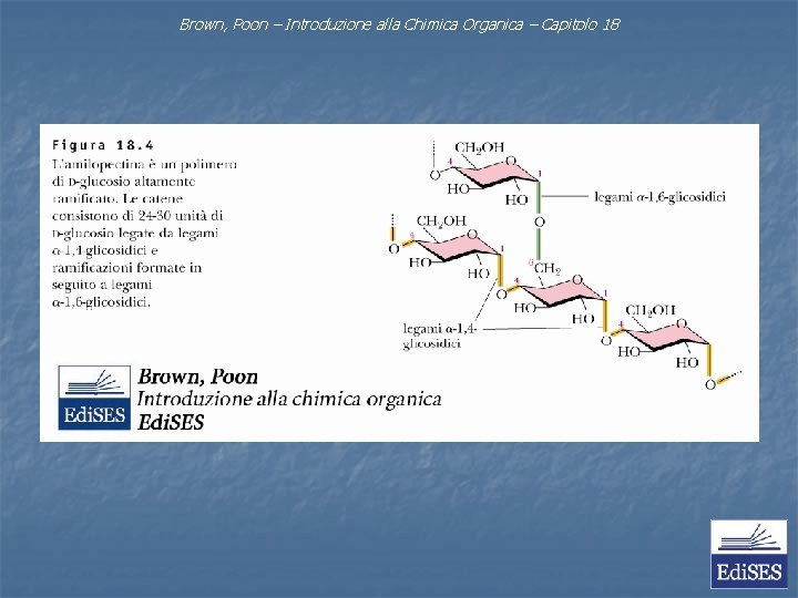 Brown, Poon – Introduzione alla Chimica Organica – Capitolo 18 Brown, Poon – Introduzione alla Chimica Organica – Capitolo 18