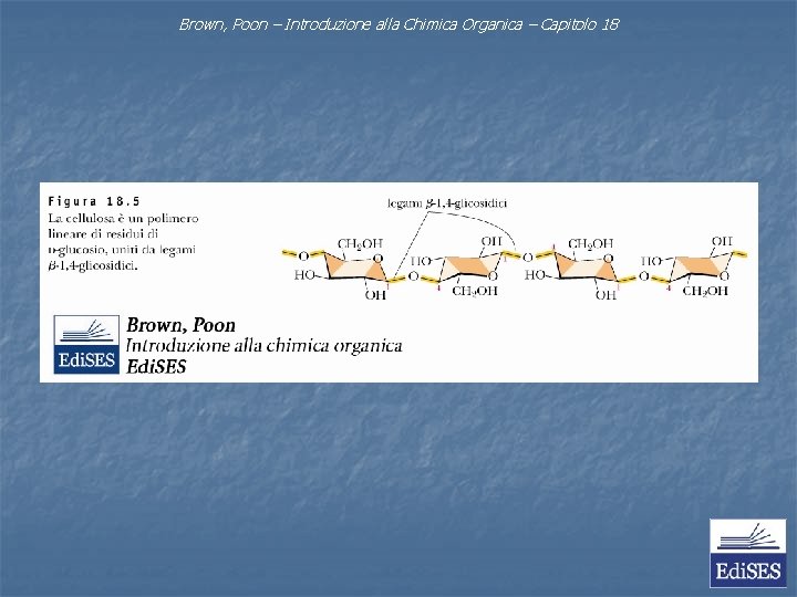 Brown, Poon – Introduzione alla Chimica Organica – Capitolo 18 Brown, Poon – Introduzione alla Chimica Organica – Capitolo 18