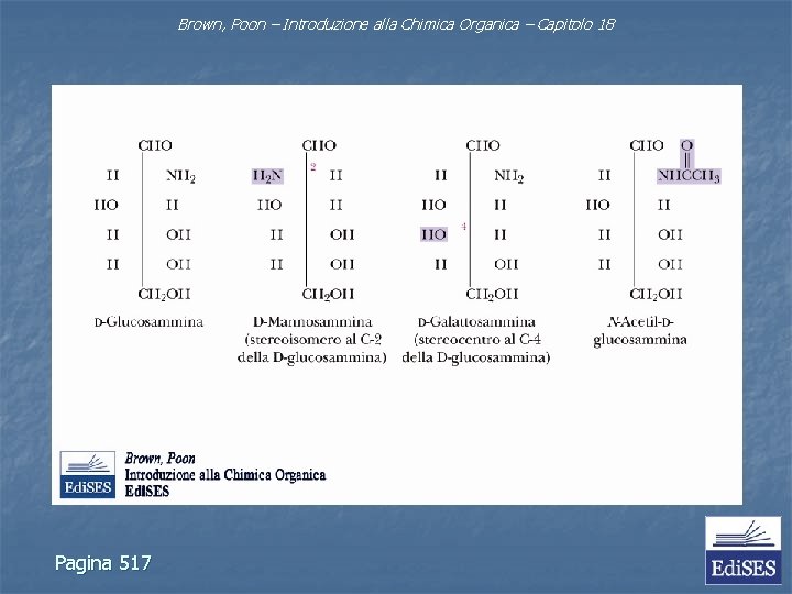 Brown, Poon – Introduzione alla Chimica Organica – Capitolo 18 Pagina 517 Brown, Poon – Introduzione alla Chimica Organica – Capitolo 18 Pagina 517