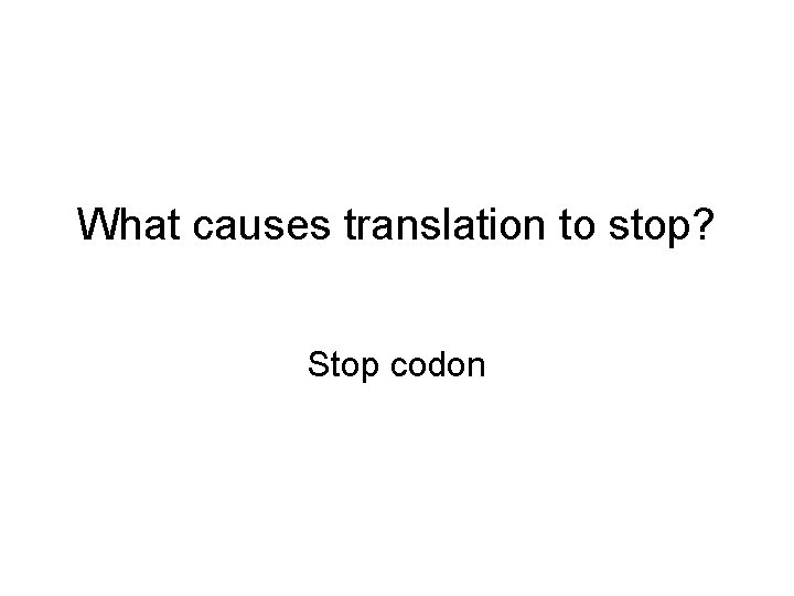 What causes translation to stop? Stop codon 