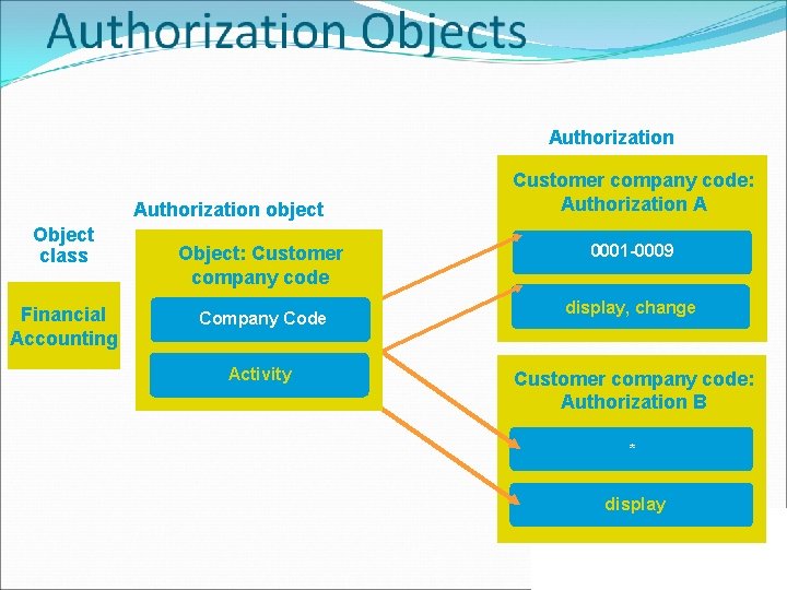 Authorization object Object class Financial Accounting Object: Customer company code Company Code Activity Customer