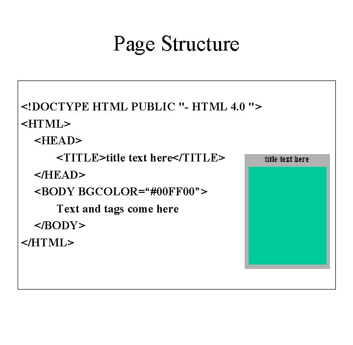 Page Structure <!DOCTYPE HTML PUBLIC "- HTML 4. 0 "> <HTML> <HEAD> <TITLE>title text
