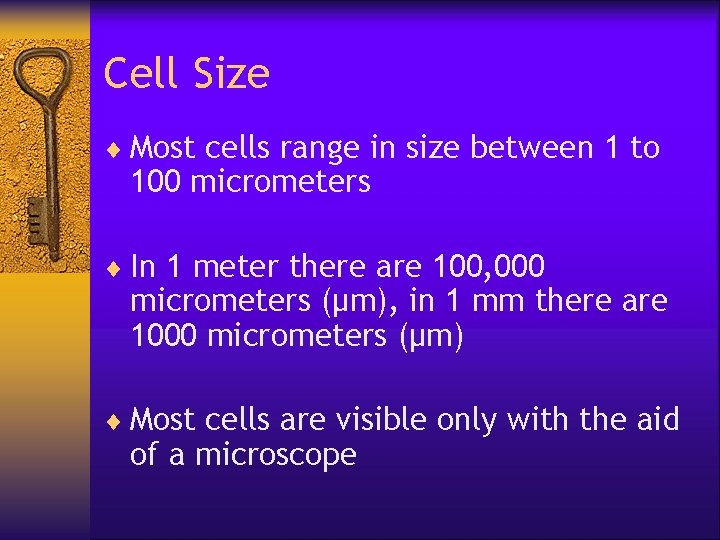 Cell Size ¨ Most cells range in size between 1 to 100 micrometers ¨