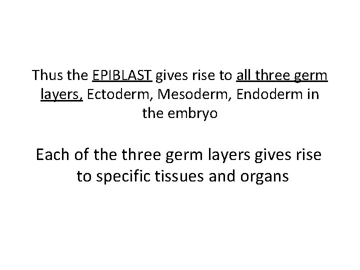 Thus the EPIBLAST gives rise to all three germ layers, Ectoderm, Mesoderm, Endoderm in