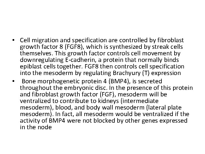  • Cell migration and specification are controlled by fibroblast growth factor 8 (FGF