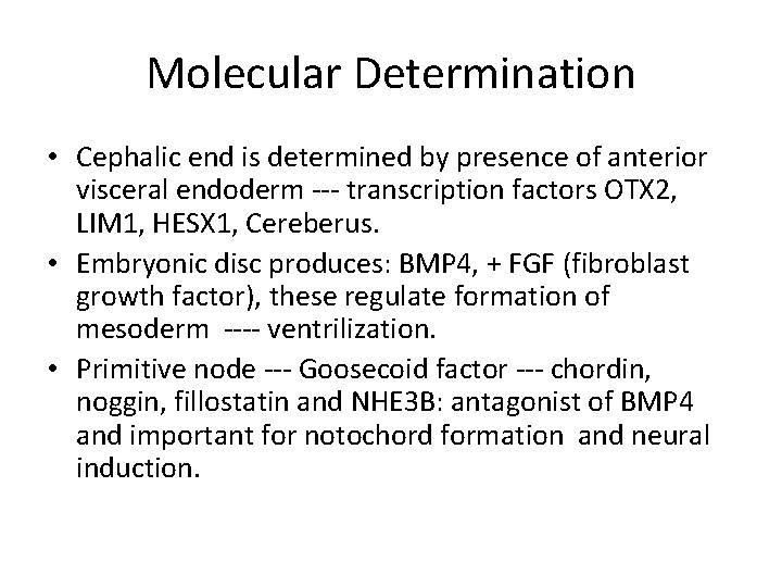Molecular Determination • Cephalic end is determined by presence of anterior visceral endoderm ---