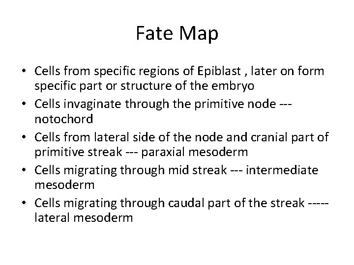 Fate Map • Cells from specific regions of Epiblast , later on form specific