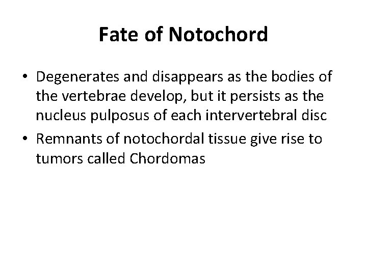 Fate of Notochord • Degenerates and disappears as the bodies of the vertebrae develop,