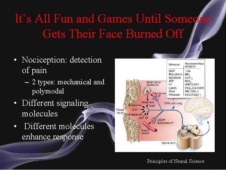 It’s All Fun and Games Until Someone Gets Their Face Burned Off • Nociception: