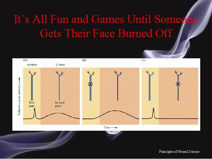 It’s All Fun and Games Until Someone Gets Their Face Burned Off Principles of