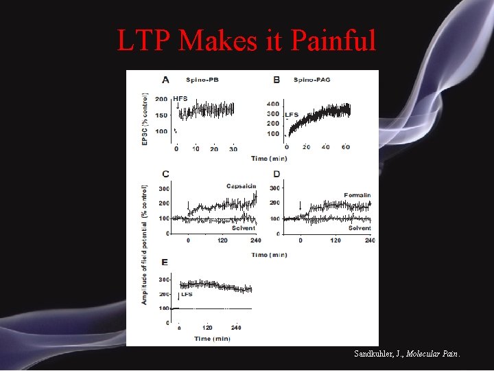 LTP Makes it Painful Sandkuhler, J. , Molecular Pain. 