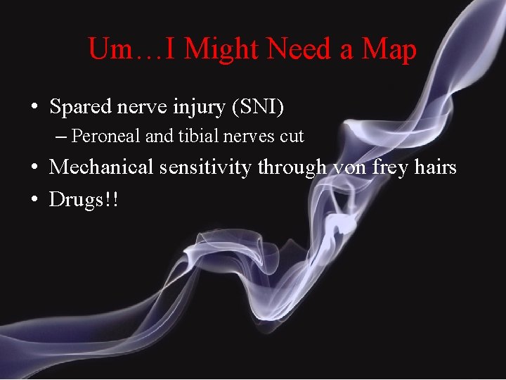 Um…I Might Need a Map • Spared nerve injury (SNI) – Peroneal and tibial