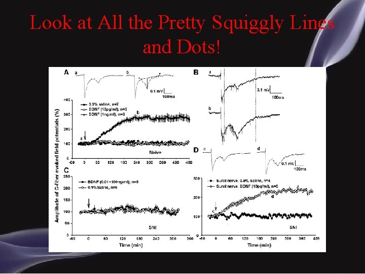 Look at All the Pretty Squiggly Lines and Dots! 