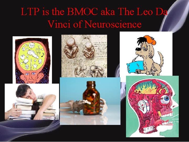LTP is the BMOC aka The Leo Da Vinci of Neuroscience 
