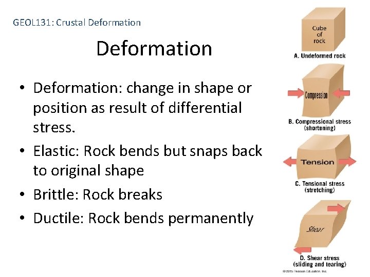 GEOL 131: Crustal Deformation • Deformation: change in shape or position as result of