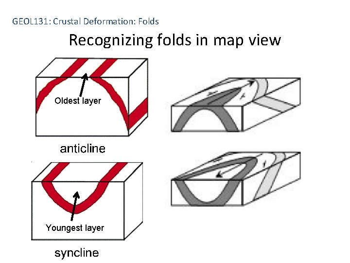 GEOL 131: Crustal Deformation: Folds Recognizing folds in map view Oldest layer Youngest layer
