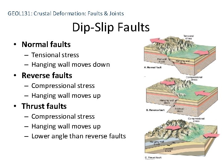 GEOL 131: Crustal Deformation: Faults & Joints Dip-Slip Faults • Normal faults – Tensional