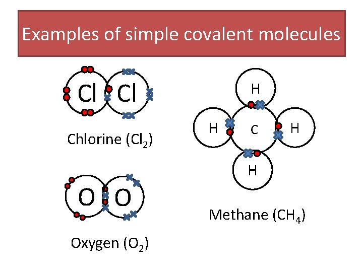 Examples of simple covalent molecules Cl Cl Chlorine (Cl 2) O O Oxygen (O