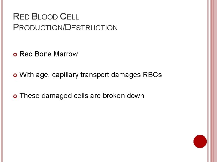 RED BLOOD CELL PRODUCTION/DESTRUCTION Red Bone Marrow With age, capillary transport damages RBCs These