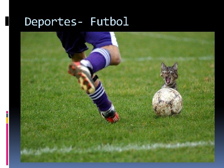 Deportes- Futbol 