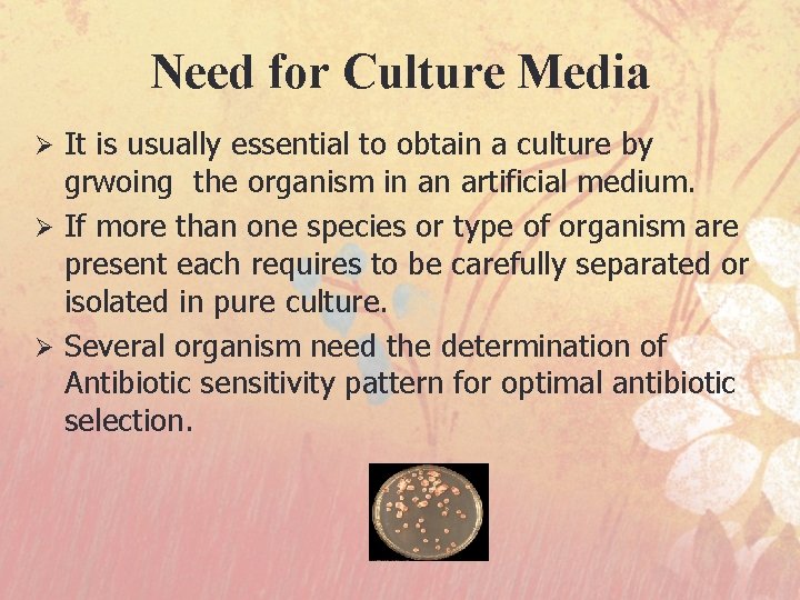 Need for Culture Media It is usually essential to obtain a culture by grwoing