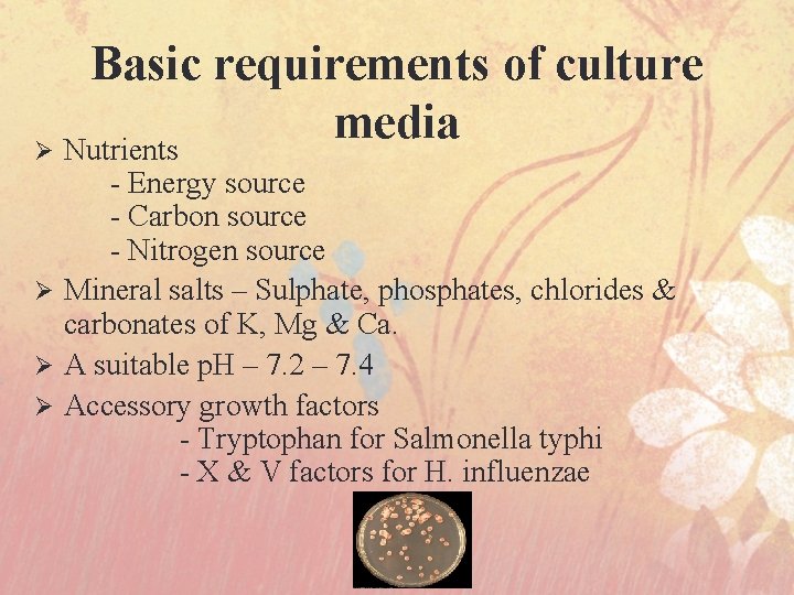 Basic requirements of culture media Ø Nutrients - Energy source - Carbon source -