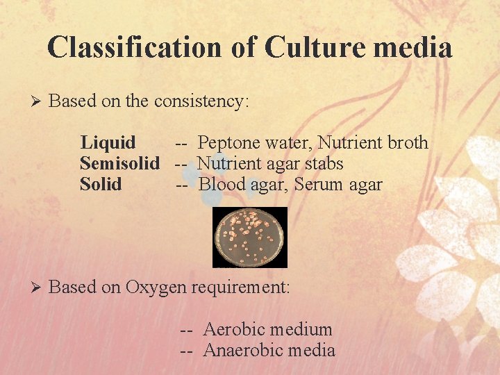 Classification of Culture media Ø Based on the consistency: Liquid -- Peptone water, Nutrient