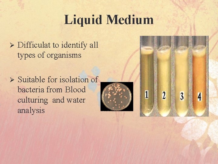 Liquid Medium Ø Difficulat to identify all types of organisms Ø Suitable for isolation