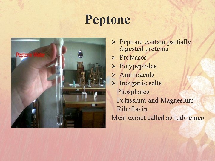Peptone contain partially digested proteins Ø Proteases Ø Polypeptides Ø Aminoacids Ø Inorganic salts