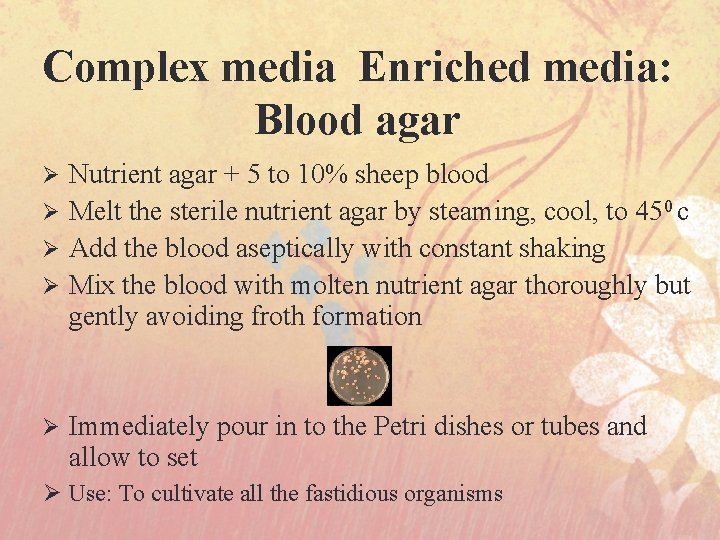 Complex media Enriched media: Blood agar Nutrient agar + 5 to 10% sheep blood