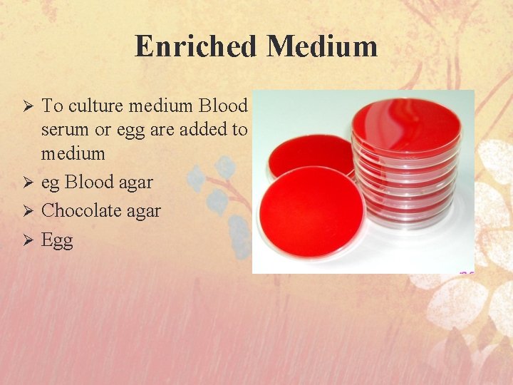 Enriched Medium To culture medium Blood serum or egg are added to medium Ø