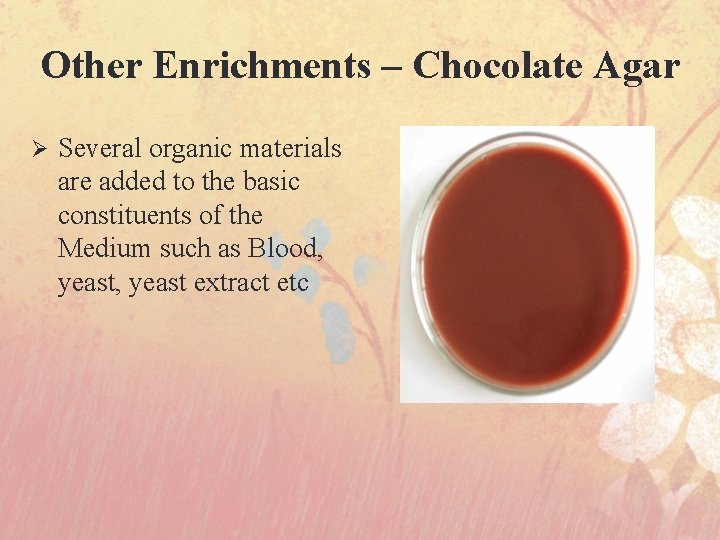 Other Enrichments – Chocolate Agar Ø Several organic materials are added to the basic