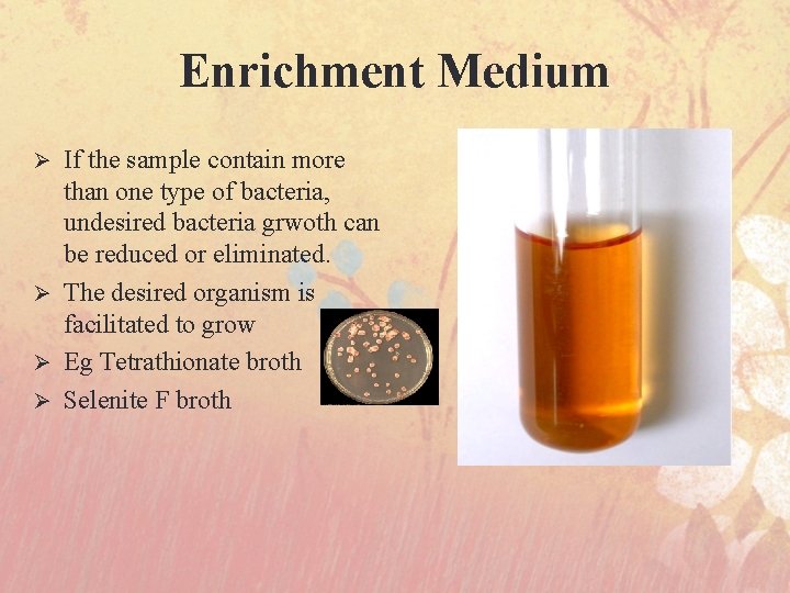 Enrichment Medium If the sample contain more than one type of bacteria, undesired bacteria
