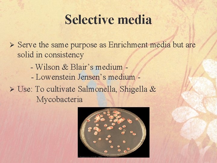 Selective media Serve the same purpose as Enrichment media but are solid in consistency