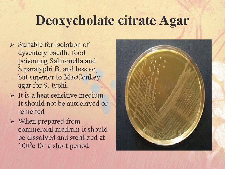 Deoxycholate citrate Agar Suitable for isolation of dysentery bacilli, food poisoning Salmonella and S.