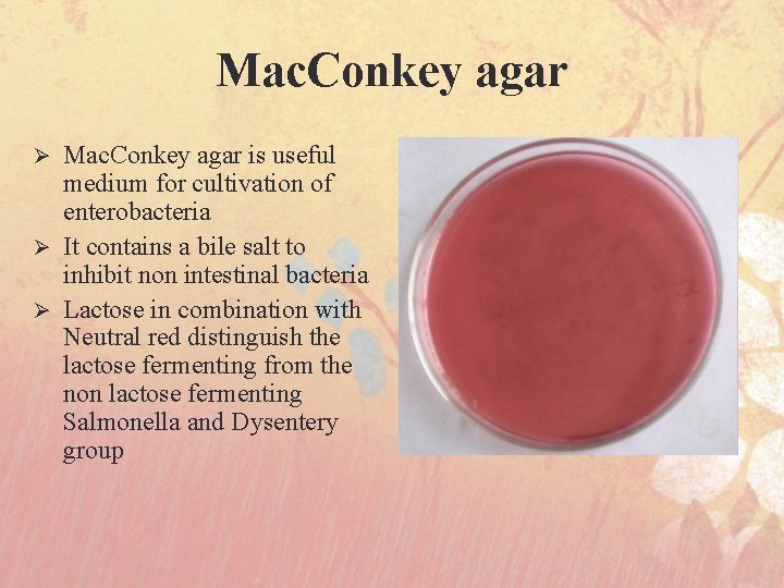 Mac. Conkey agar is useful medium for cultivation of enterobacteria Ø It contains a