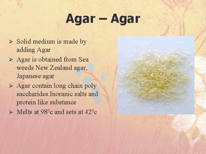 Agar – Agar Solid medium is made by adding Agar Ø Agar is obtained