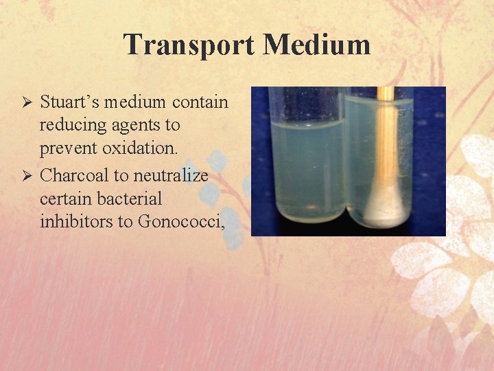 Transport Medium Stuart’s medium contain reducing agents to prevent oxidation. Ø Charcoal to neutralize