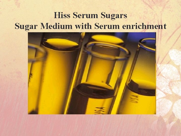 Hiss Serum Sugars Sugar Medium with Serum enrichment 