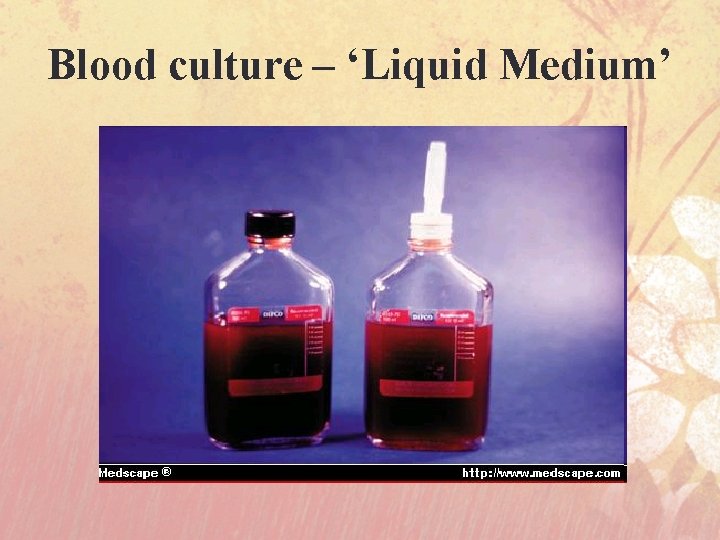Blood culture – ‘Liquid Medium’ 