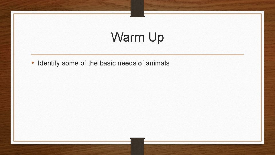 Warm Up • Identify some of the basic needs of animals 