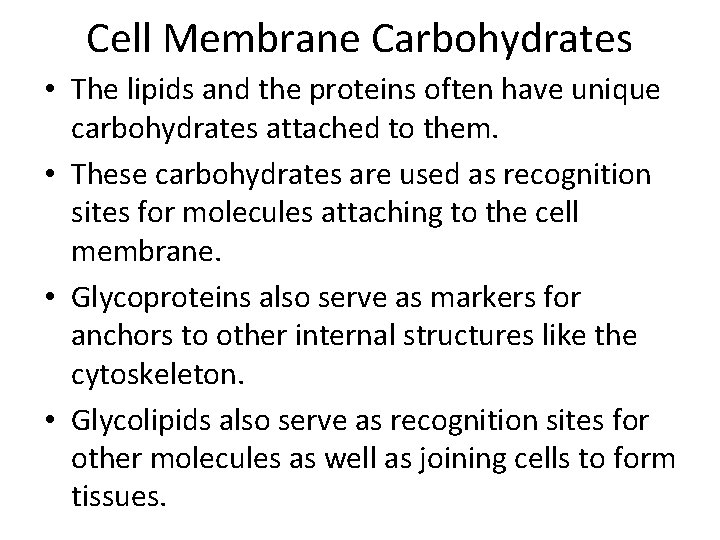 Cell Membrane Carbohydrates • The lipids and the proteins often have unique carbohydrates attached Cell Membrane Carbohydrates • The lipids and the proteins often have unique carbohydrates attached