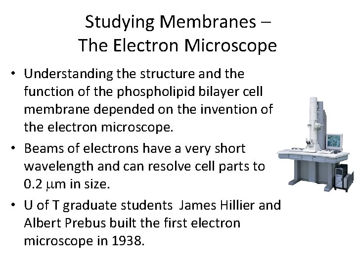 Studying Membranes – The Electron Microscope • Understanding the structure and the function of Studying Membranes – The Electron Microscope • Understanding the structure and the function of