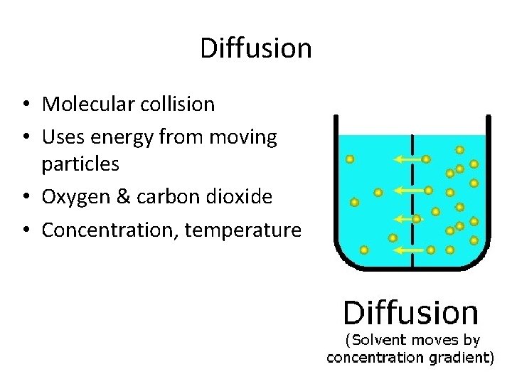 Diffusion • Molecular collision • Uses energy from moving particles • Oxygen & carbon Diffusion • Molecular collision • Uses energy from moving particles • Oxygen & carbon