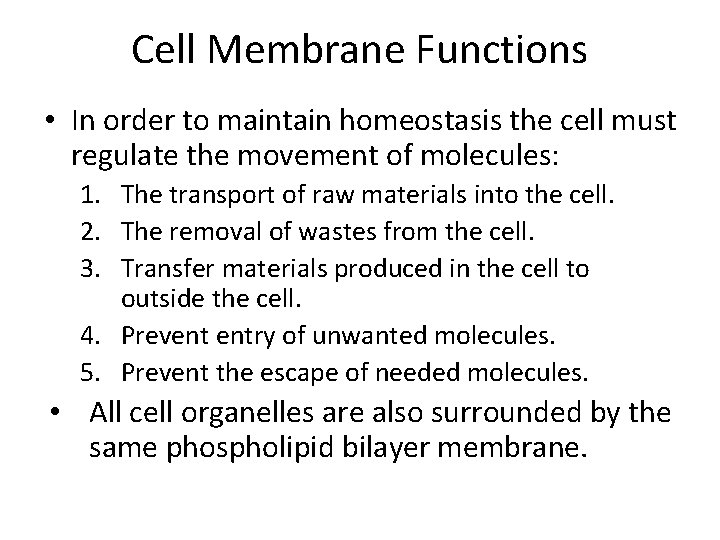 Cell Membrane Functions • In order to maintain homeostasis the cell must regulate the Cell Membrane Functions • In order to maintain homeostasis the cell must regulate the