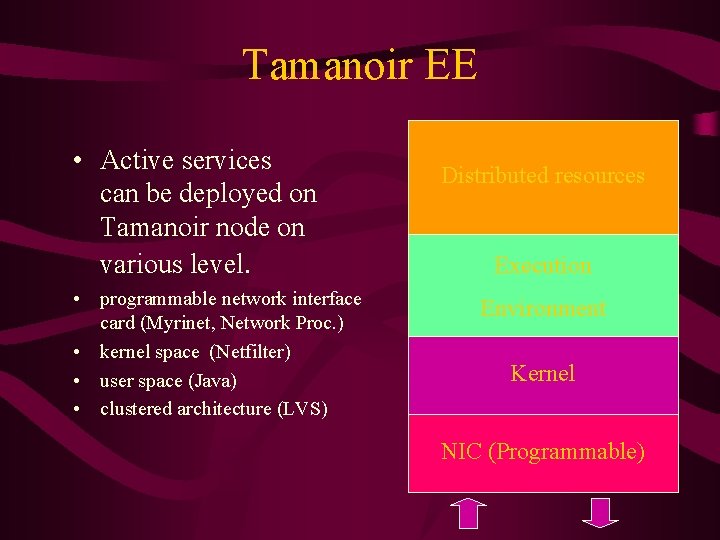 Tamanoir EE • Active services can be deployed on Tamanoir node on various level.