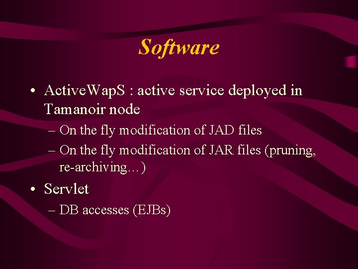 Software • Active. Wap. S : active service deployed in Tamanoir node – On