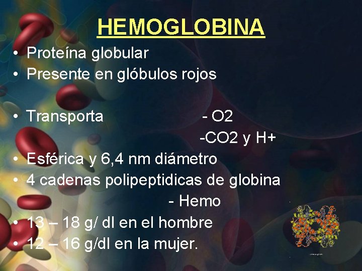 HEMOGLOBINA • Proteína globular • Presente en glóbulos rojos • Transporta • • -